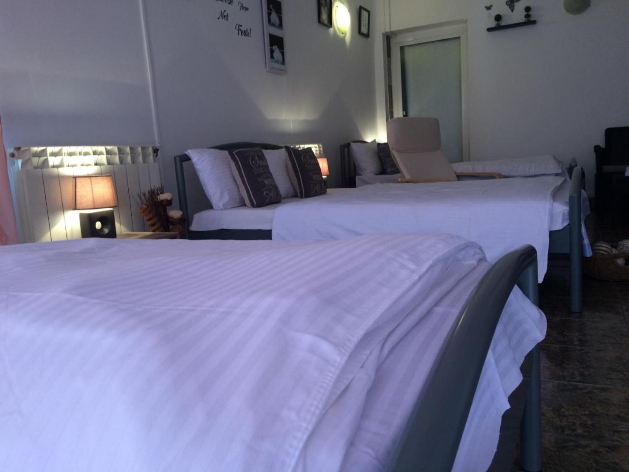 Casa Julius Otel Köstence Dış mekan fotoğraf